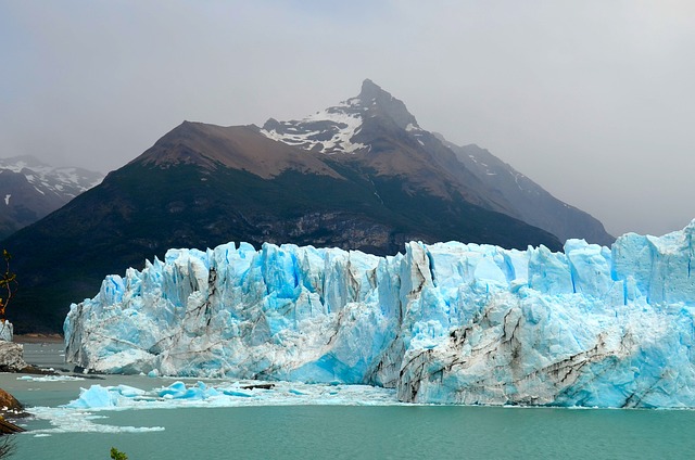 calafate-g1368a3a88_640