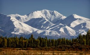 Lee más sobre el artículo Mendoza Vinos Alta Gama